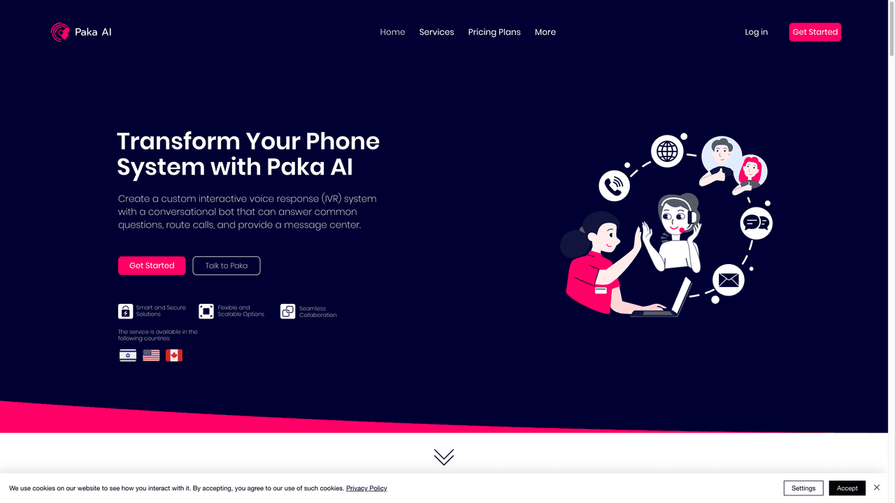 Paka AI website