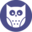 Trademark Owl Icon