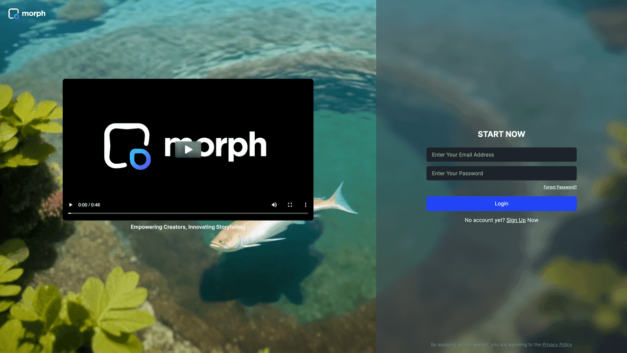 Morph Studio website