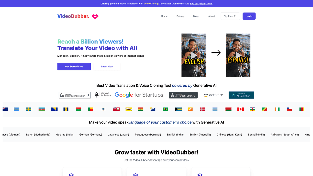 VideoDubber website