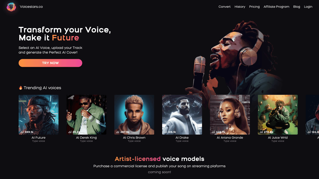 Voicestars website